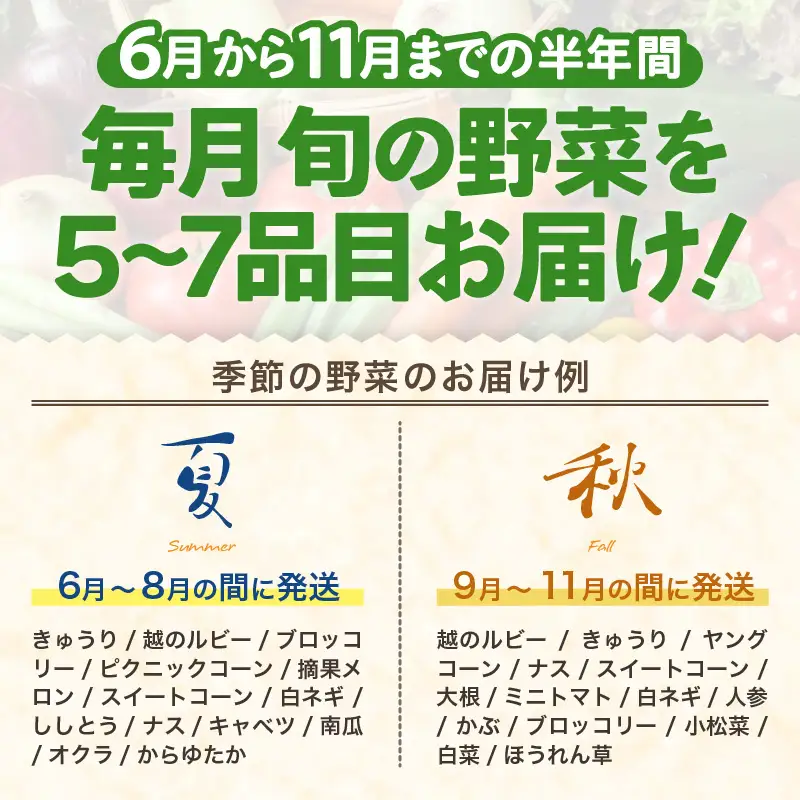 【先行予約】【定期便6回】道の駅駅長チョイス！ 旬の野菜セット 5品目以上 / 季節 野菜 ボックス BOX セット セレクト 農家 おまかせ 多品目 旬 詰め合わせ 根菜 葉物 ※2027年6月上旬より順次発送 [aw090-c001]