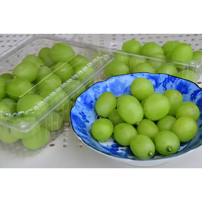 【ご家庭用】岡山県産シャインマスカット バラ粒 1kg（500g×2パック）
