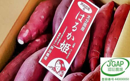 004-1137x2 【先行予約】 はるか姫 約5kg さつまいも サツマイモ 芋 いも 紅はるか べにはるか 大分県 豊後大野市  【2026年11月下旬-2027年5月下旬発送予定】
