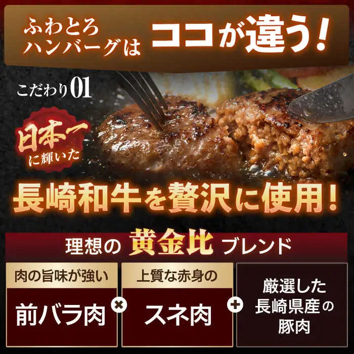 【6回定期便】ながさきふわとろハンバーグ 150g×10個入 / ハンバーグ はんばーぐ 肉 牛肉 豚肉 おかず 惣菜 定期便 / 諫早市 / ワールド・ミート有限会社 [AHBG011] 10万 100000