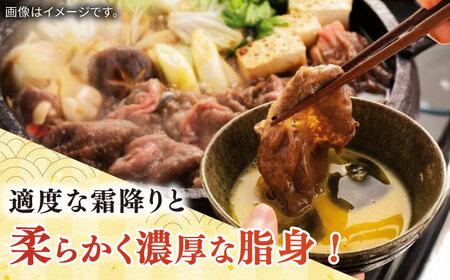 佐賀牛霜降りスライス（肩ロース）500g / 佐賀牛 肉 / [41AOCW008]