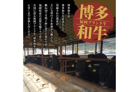 博多和牛 ロースステーキ用(2枚・計400g) 牛肉 黒毛和牛 国産 ステーキ ＜離島配送不可＞【ksg0453】【JA全農ミートフーズ】