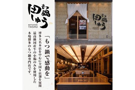 博多名物！無着色辛子明太子「田しゅうの青しそ風味明太子」(計600g・200g×3パック)めんたいこ お土産 青じそ 大葉 海鮮 福岡＜離島配送不可＞【ksg0468】【田しゅう】