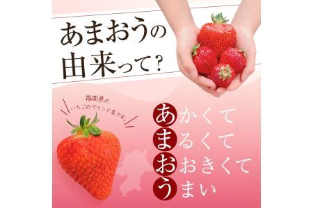 ＜予約受付中！2027年2月より順次発送予定＞うるう農園のスタンダードあまおう(計570g・285g×2P)  苺 いちご イチゴ 果物 フルーツ 国産 福岡県 ヨーグルト ジャム スムージー 冷蔵 特別栽培＜離島配送不可＞【ksg1218】【うるう農園】