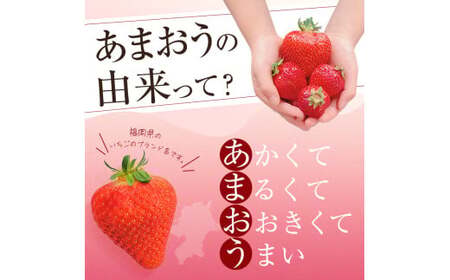 ＜予約受付中！2027年2月より順次発送予定＞＜不揃い＞あまおう(計1.14kg・285g×4P) 苺 いちご イチゴ フルーツ 果物 ヨーグルト ジャム スムージー 冷蔵 特別栽培 福岡県 国産＜離島配送不可＞【ksg1222】【うるう農園】