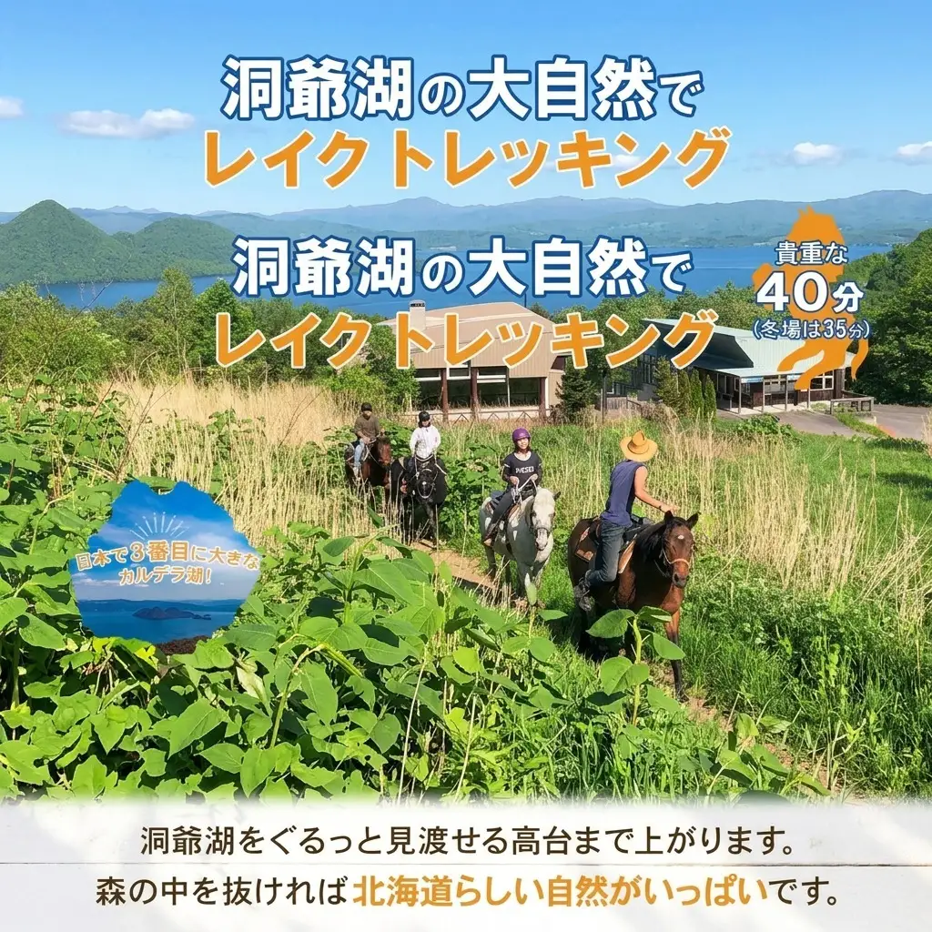 乗馬トレッキング体験 レイク ホース 洞爺湖 乗馬トレッキング体験【約40分】
