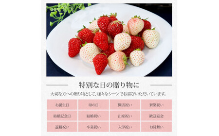 “Berry農園”山本さんの紅白いちご