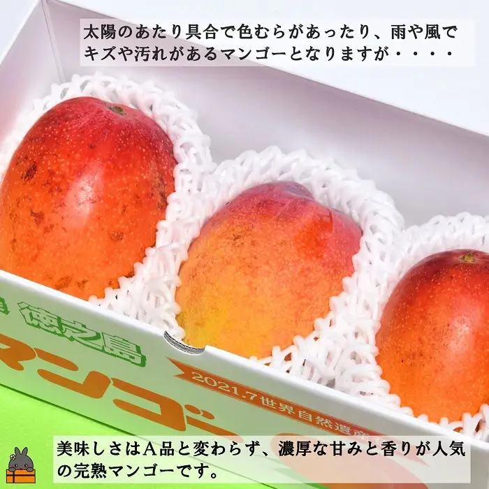 ≪今が旬！≫訳あり！【家庭用】徳之島産完熟マンゴー1kg（2～3玉）フルーツ わけあり 訳あり 果物