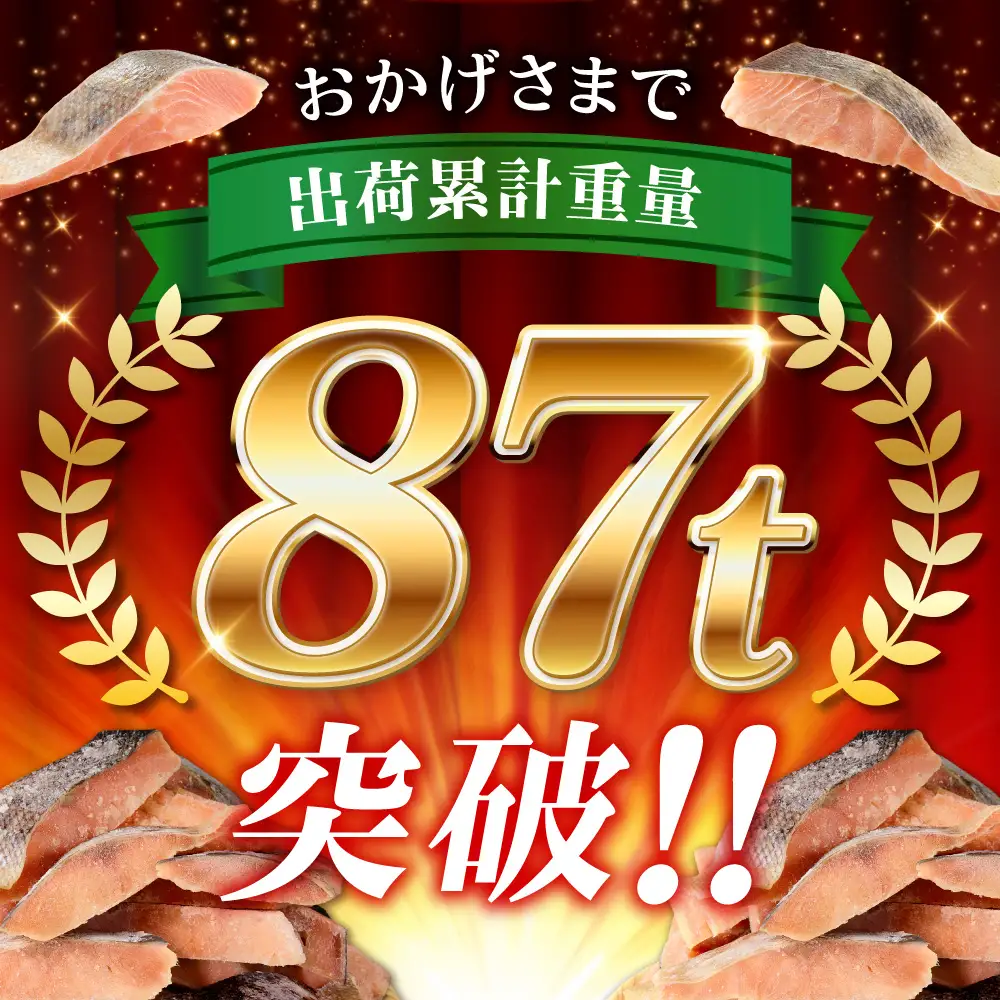 【訳あり】北海道産 無塩天然秋鮭切身 3kg 無添加