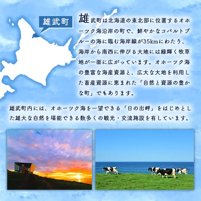 北海道オホーツク海産　浜ゆで毛ガニ660ｇ×1尾（冷凍）【07130】
