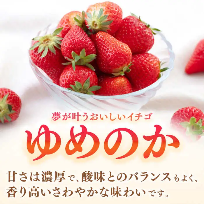 【先行予約】いちご ゆめのか 1kg [JBO138] イチゴ 苺