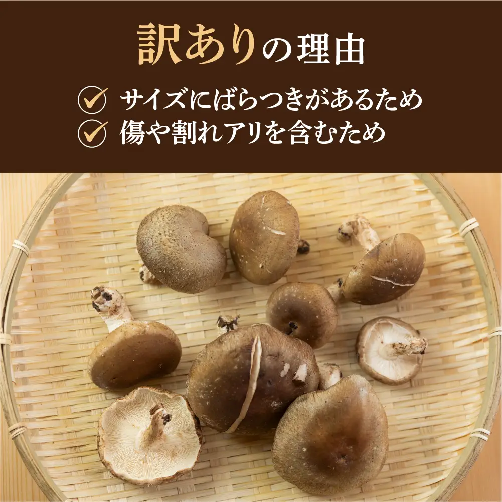 先行予約【期間限定】（2026年11月から順次発送）訳あり 不揃い【期間限定】（2025年11月から順次発送）菌床生椎茸　詰め合わせ 2kg（大・小・形 混合）生椎茸 規格外 訳アリ 【71-6】