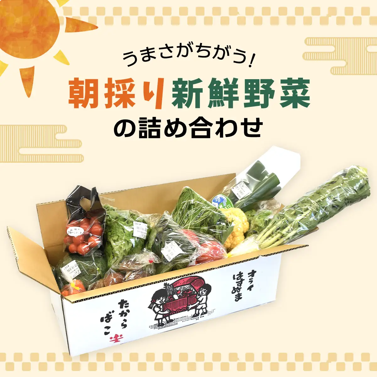 大地のたからばこセット（1箱） SMA002