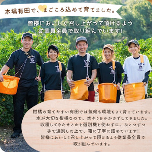 【2027年先行予約】湯浅町産せとか11～15玉（M～2Lサイズ混合）化粧箱入り秀品【まごころ手選別】_ZE6401n
