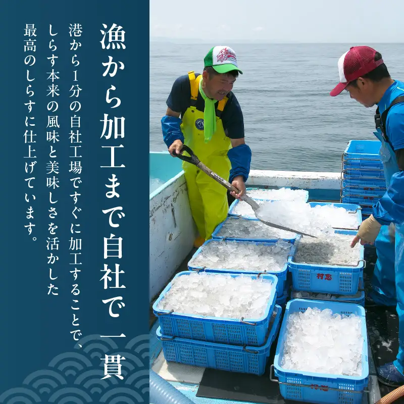 特選釜揚げシラス　1kg木箱セット_FA1000