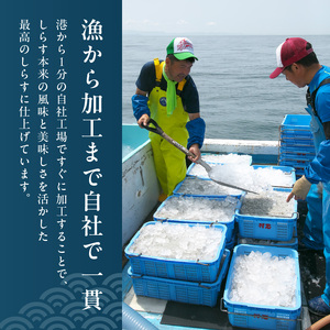 釜揚げシラス　320ｇ×３セット_FA1001