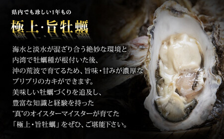 【2026シーズン受付開始！】11月中旬から順次発送予定 奥松島産 極上 カキ詰合せ カキむき身500g1本＋殻付きカキ8個 牡蠣 かき カキ 殻付き牡蠣 剥き身