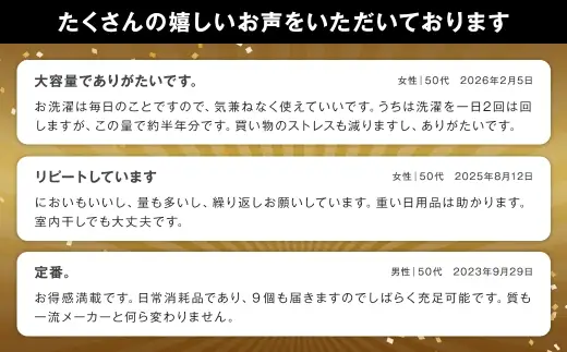 【ふるさと納税専売品】 詰替用 液体洗剤 デオスタイル 1.65kg×9個
