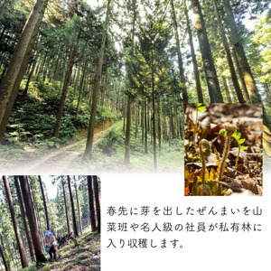 100%天然物 特上 干しぜんまい 120g 令和8年産 新物【2026年産 乾燥ぜんまい 干しぜんまい 天日干し 手もみ 乾物 新潟県 糸魚川市 山菜 ゼンマイ 能生 完全手作業 完全天日乾燥 笠原建設 煮物 炒め物 ナムル】