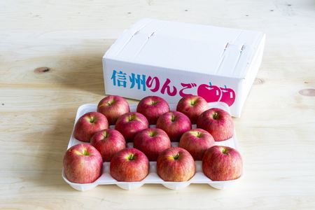 北城農園で人気の南信州産りんご（シナノスイート 11-13玉 約4kg)