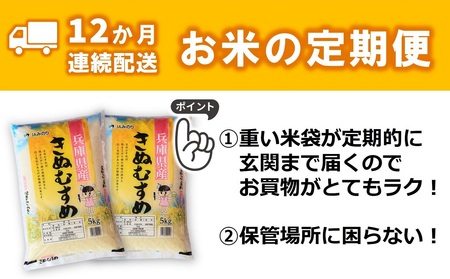 【ブランド米 きぬむすめ 定期便】12か月連続お届け！ 合計60kg（精米5kg×1袋 12か月）／77-14
