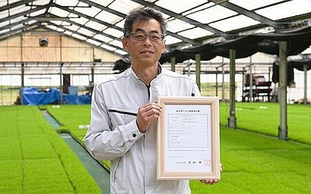 令和6年産米 美濃加茂の お米 定期便（毎月） 4回セット ( 10kg×4回 ) | ハツシモ 春見ライス 米 コメ M80S18