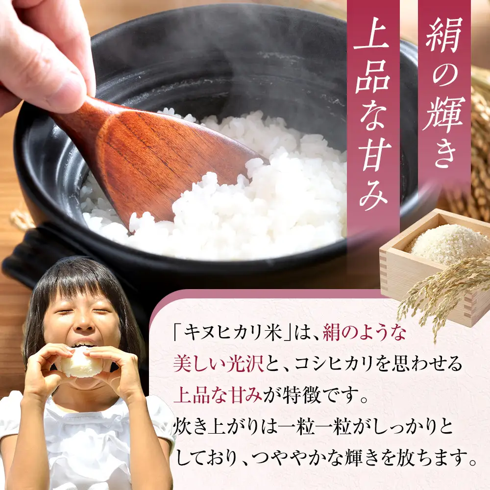 和歌山県産 米 キヌヒカリ 10kg  (2025年産)［SL28］