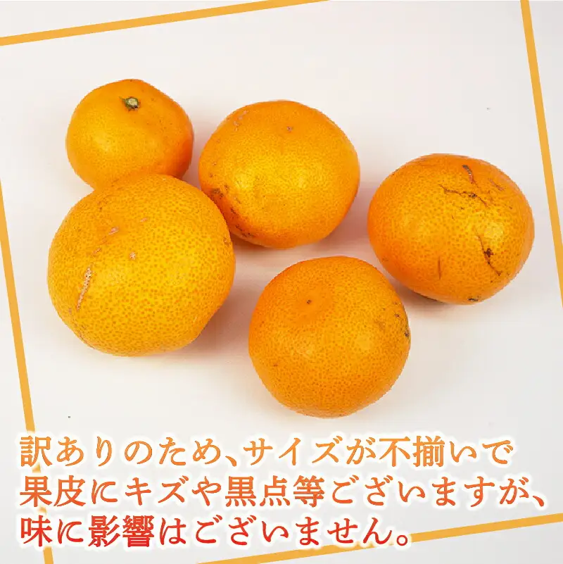 訳あり 早生 温州 みかん 5kg 壱果樹園 みかん B010-141003