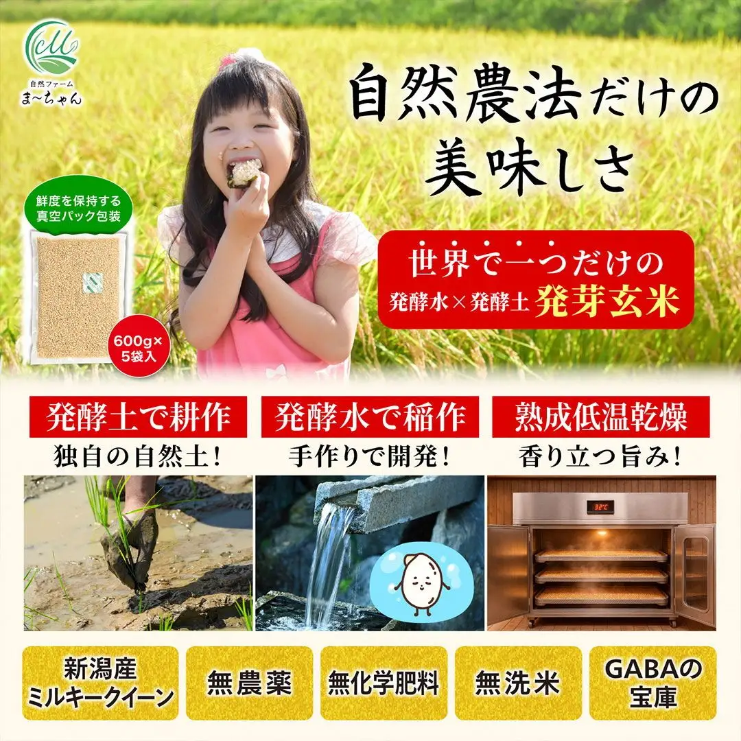 先行予約 無農薬 発芽玄米 ミルキークイーン 3kg(600gx5袋) 無洗米