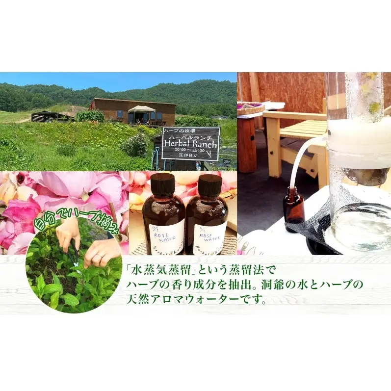アロマウォーター蒸留体験 化粧水 ハーバルランチ アロマウォーター蒸留体験