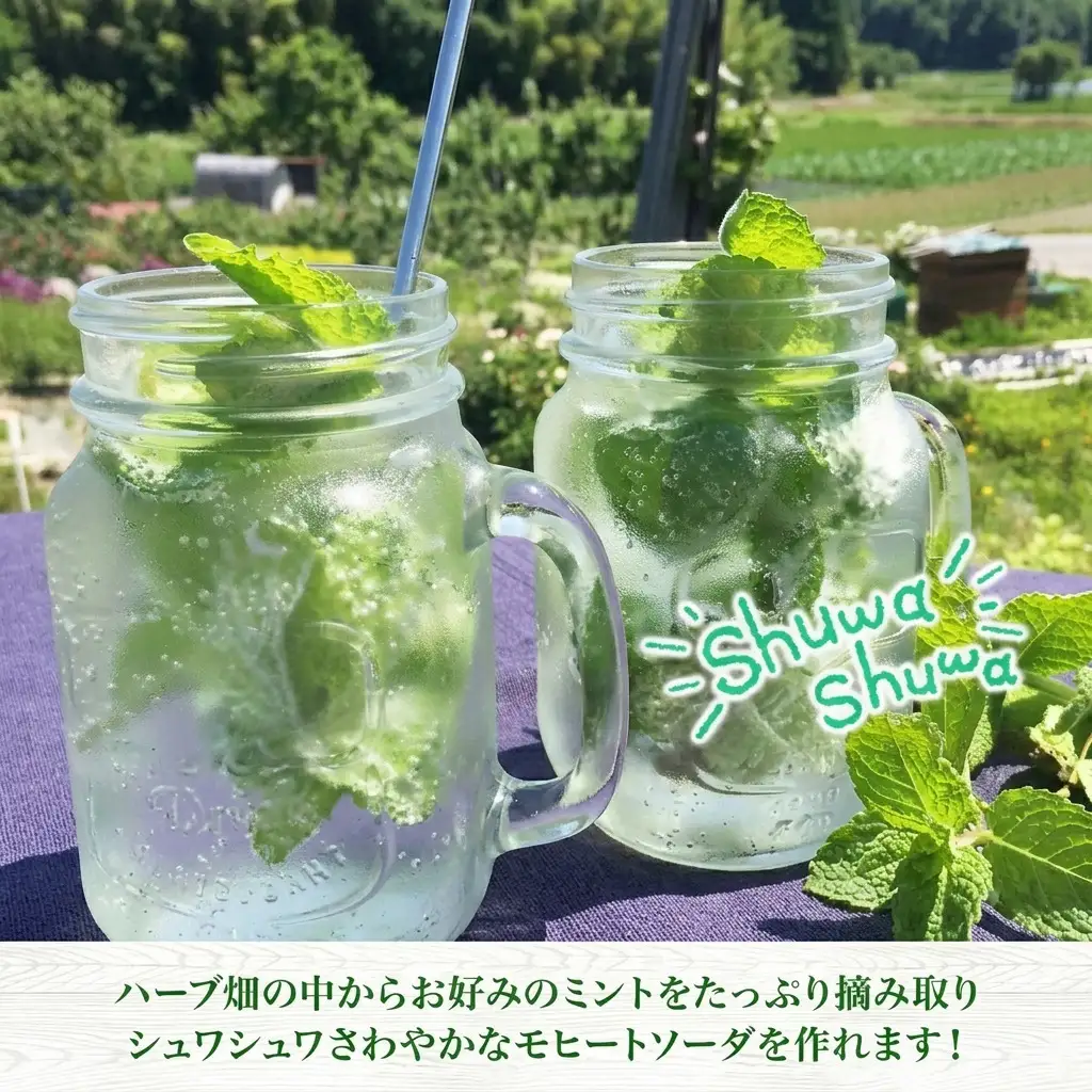 モヒートソーダ作り体験 ノンアル ハーバルランチ モヒートソーダ作り体験【2枚】