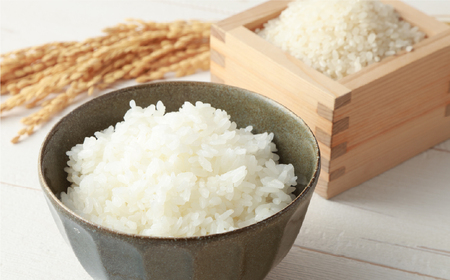 【 数量限定 】 星農園 令和7年産 ゆめぴりか 「STAR RICE」（精米 5kg）米 精米 白米 北海道 愛別町産