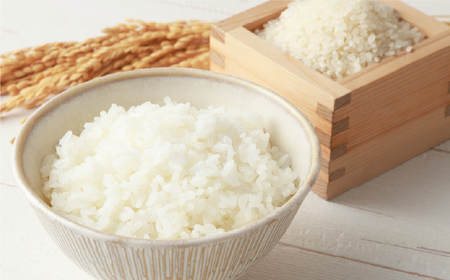 【 数量限定 】 星農園 令和7年産 ゆめぴりか 「STAR RICE」（精米 10kg）米 精米 白米 北海道 愛別町産 【2025年10月下旬発送開始】