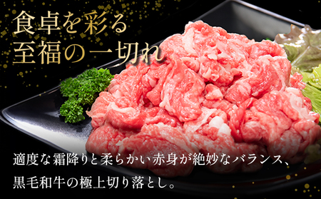 国産 黒毛和牛 阿波牛 赤身 切り落とし 1.5kg 500g×3P 牛肉 切り落し もも バラ