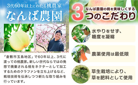【2027年発送先行予約】ご家庭用 清水白桃 約1.5kg なんば農園 桃 もも