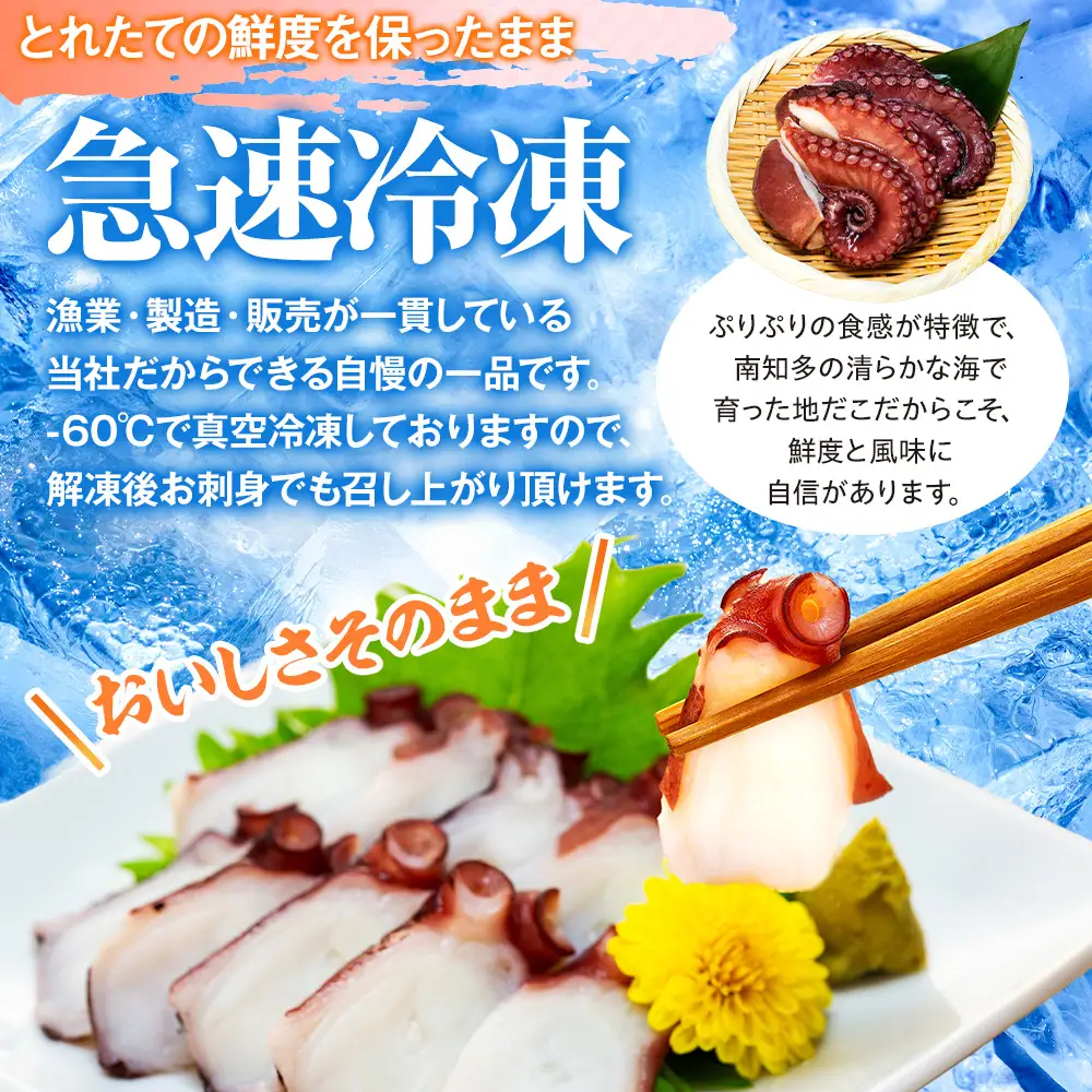 地だこボイル ５パック (100g×5) 冷凍 たこ タコ 蛸 海鮮 海産物 アヒージョ おつまみ 自家製チョジャン付き 愛知県 南知多町