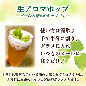 アロマホップ 生ホップ ～ ビールに浮かべて～ 50g 【2027年6月中旬〜7月中旬発送】 ビール ホップ ビール 下関 山口 IN102