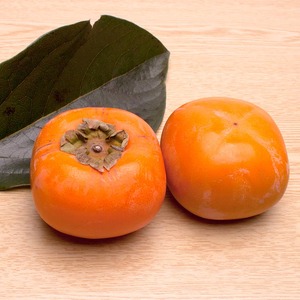 ＜10月より発送＞厳選たねなし柿1kg【刀根早生・平核無柿（ひらたねなしかき）】｜カキ・種無柿・種無し柿・種なし柿・無核柿