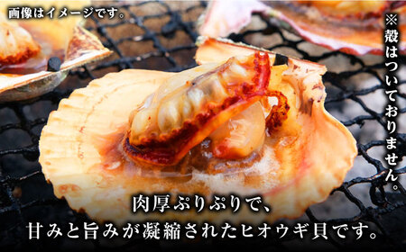 ヒオウギ貝 むき身 6個×3パック 肉厚 ひおうぎ貝 下処理済 貝 新鮮 特産品 冷凍配送  [WCS001]