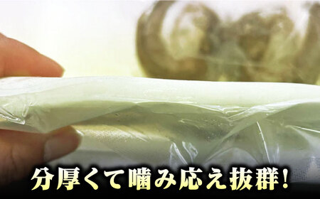イカの王様！ アオリイカ 刺身用 約1kg（2ー3枚入）  高級 肉厚 水いか 新鮮 海鮮 冷凍配送  [WCS004]