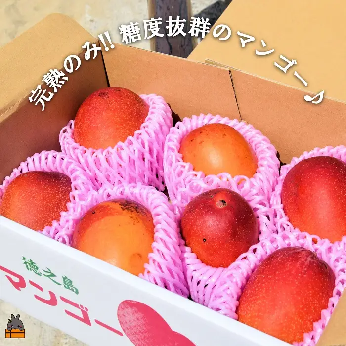 ≪今が旬！≫訳あり！【家庭用】徳之島産完熟マンゴー2kg（4～8玉）フルーツ わけあり 訳あり 果物