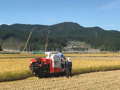 ひとめぼれ 白米 3kg 令和7年産 ひとめぼれ