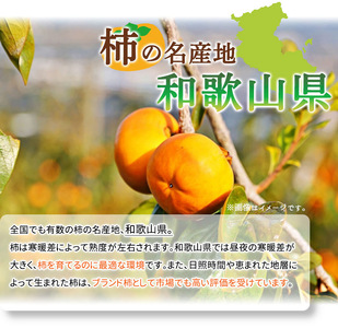 和歌山秋の味覚 富有柿 約4kg 化粧箱入_G7111