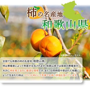 和歌山秋の味覚 富有柿 3.5kg【家庭用 訳あり】_G7112