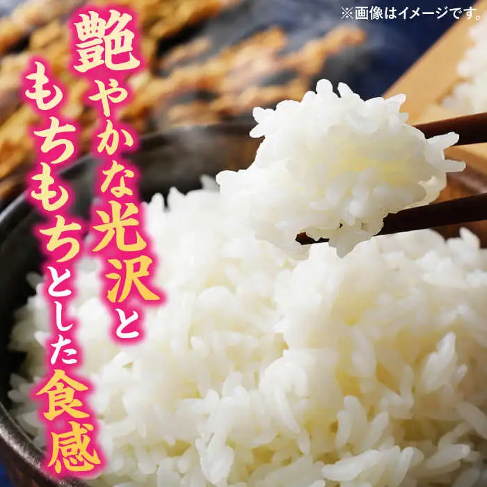  夢つくし 10kg 福岡県産 白米 [ADBB004] 米