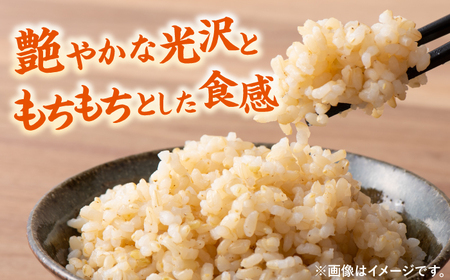 【先行受付】【11月以降順次発送】令和6年度産 福岡県桂川町産夢つくし 玄米10kg 桂川町/一般社団法人地域商社いいバイ桂川 [ADBB005] 夢つくし 福岡 玄米 米 コメ 米 おにぎり 