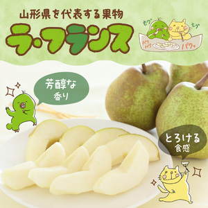 《先行受付》大江町産 山形ラフランス 5kg 13～20玉 L～5L【2026年11月中旬頃～発送予定】 048-005