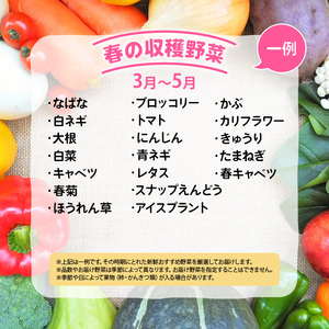 竜王町産 野菜 詰め合わせ セット 野菜セット 野菜 詰め合わせ 野菜 季節 野菜ソムリエ 厳選 採れたて やさい 10～14品