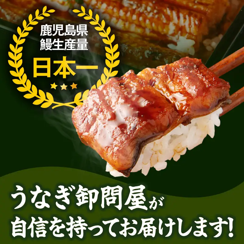 2493 【 定期 12回 】大隅特産 うなぎ蒲焼  2尾（340g）・ 白焼 1尾（120g）食べ比べセット KN060-T17 魚 冷凍 鰻