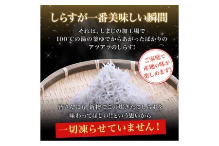 453.ザ☆プレミアムしらす1kg(B453-1)